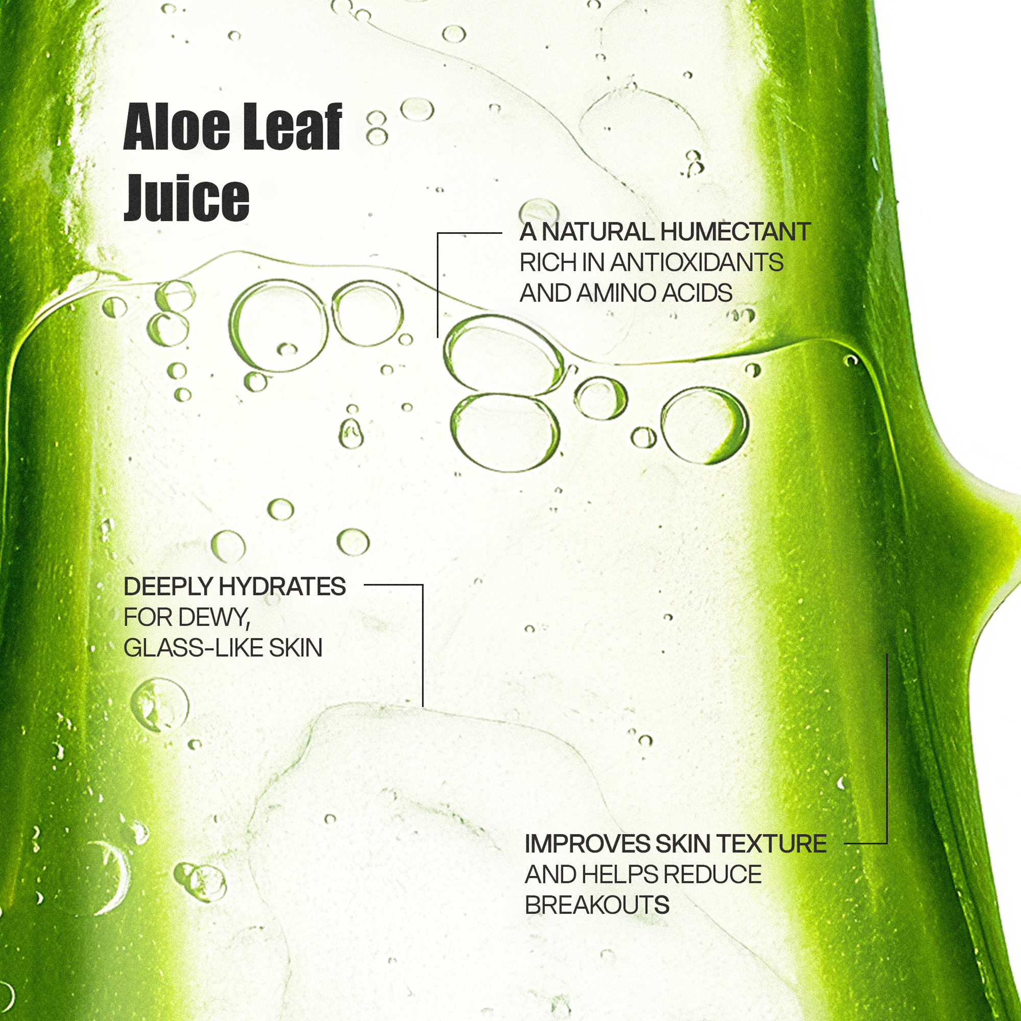 Melting Cleanser