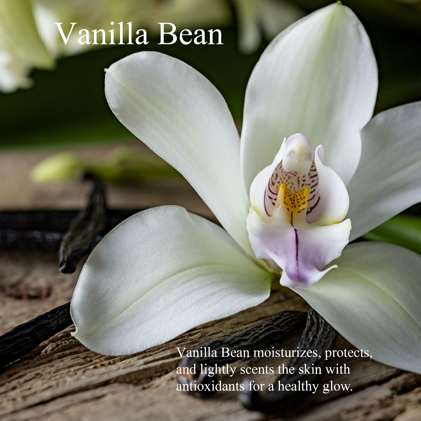 Whipped Tallow Balm