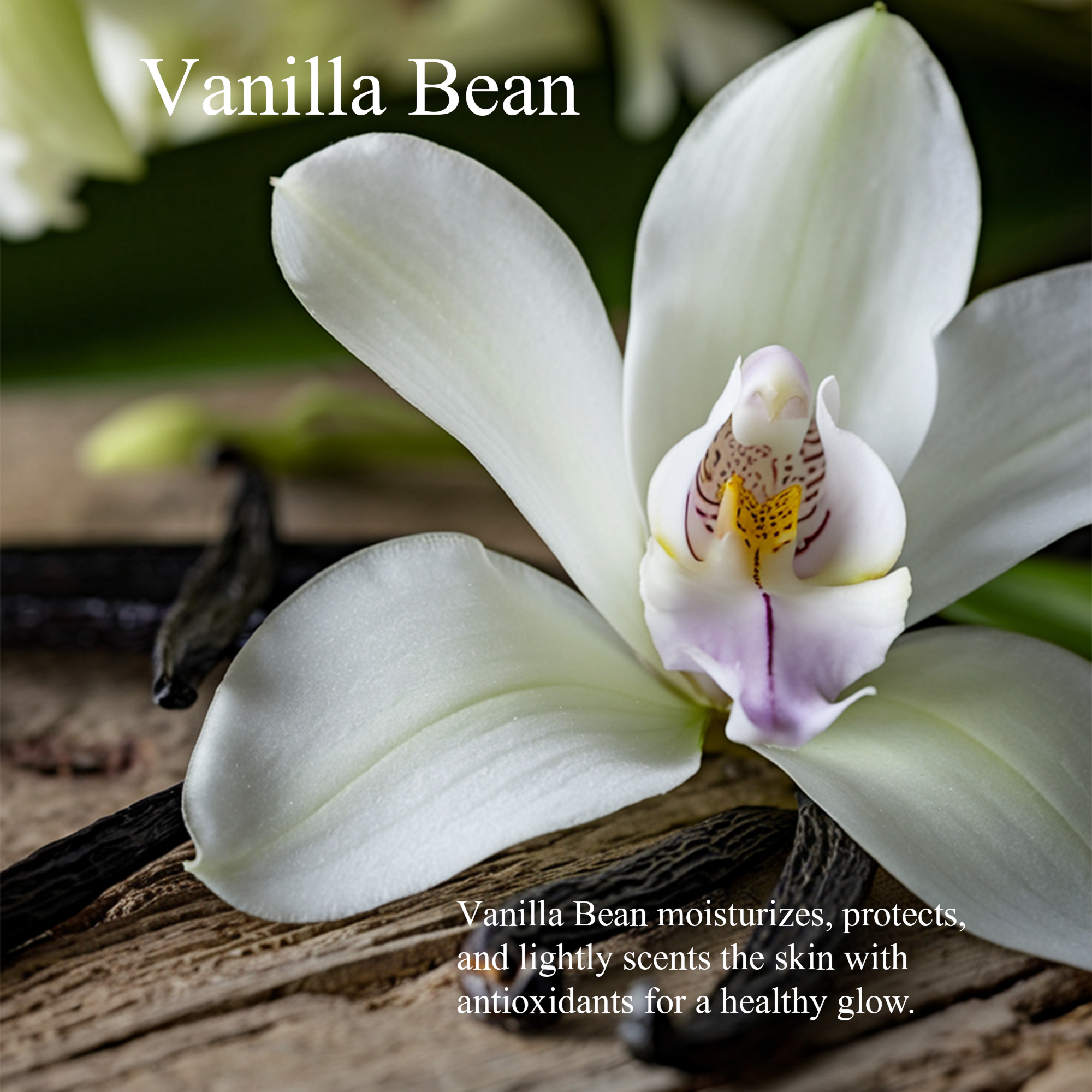 Whipped Tallow Balm